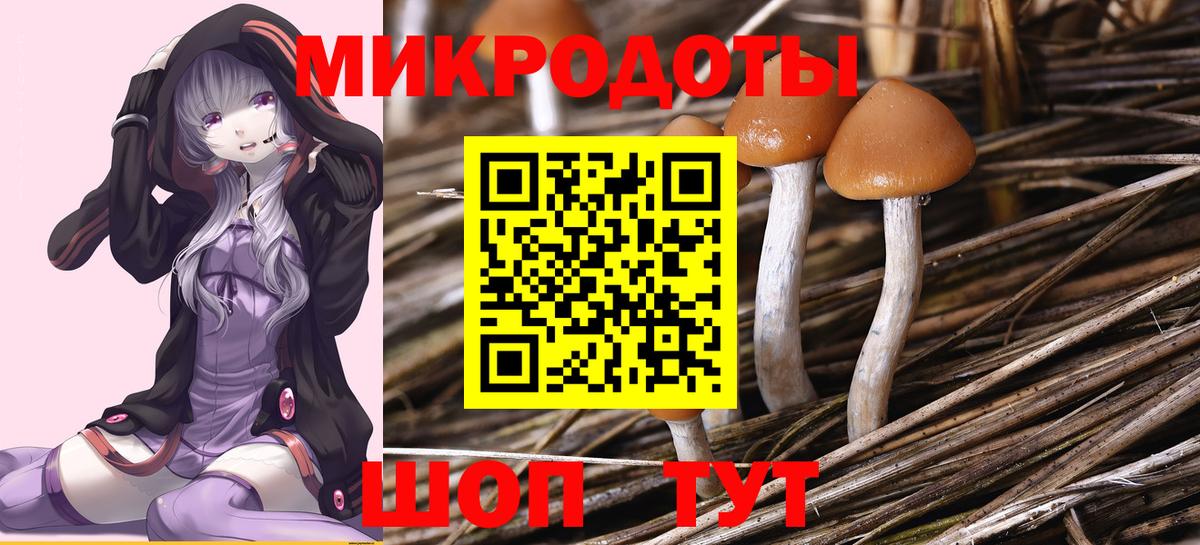 Галлюциногенные грибы Psilocybe Екатеринбург